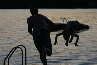 Dive In